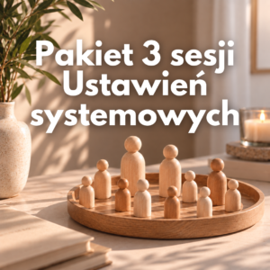 Pakiet 3 sesji ustawień systemowych - spotkania indywidualne